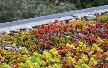 the cost of Ridley green roof installation