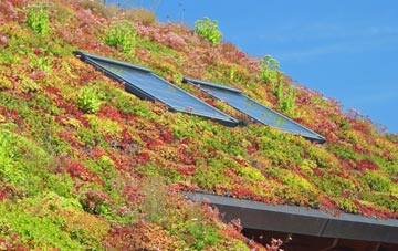 Ridley living roof systems
