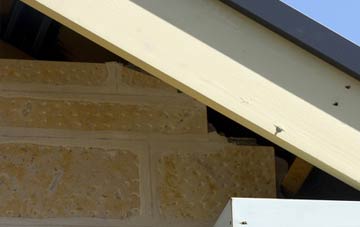 soffit repair Ridley