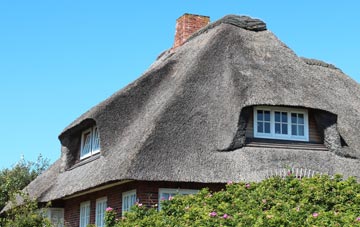 thatch roofing Ridley